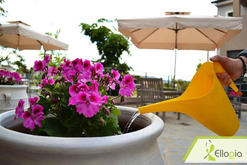 יואנינה Ellopia Point Hotel מראה חיצוני תמונה